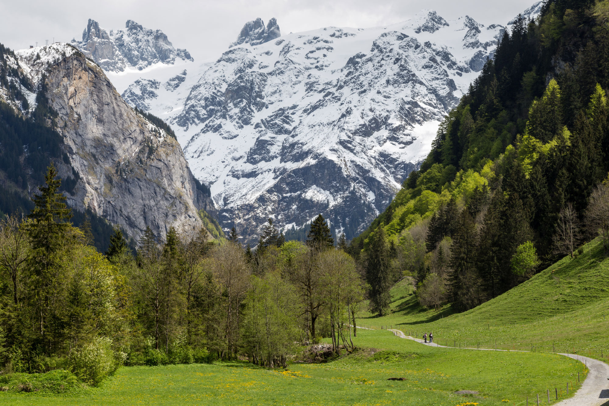 Engelberg (Photo License: CC-BY-SA-4.0)